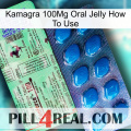 Kamagra 100Mg Oral Jelly How To Use new02